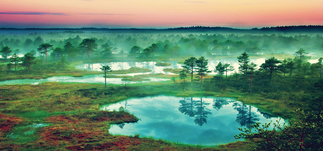 Wetlands, Estonia