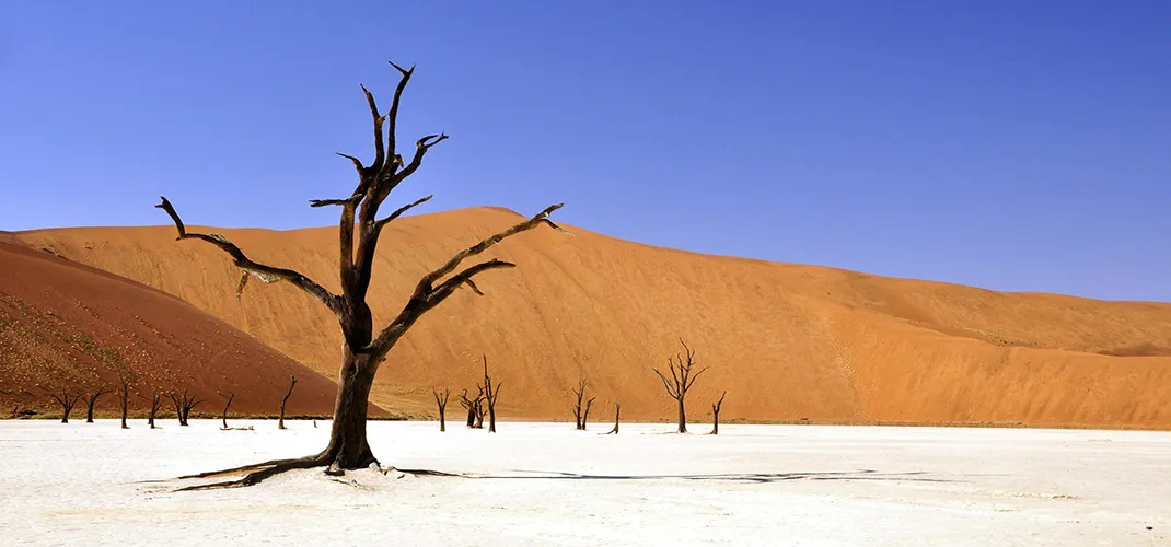 Deadvlei, Sossusvlei, Namibia Deadvlei, Sossusvlei, Namibia